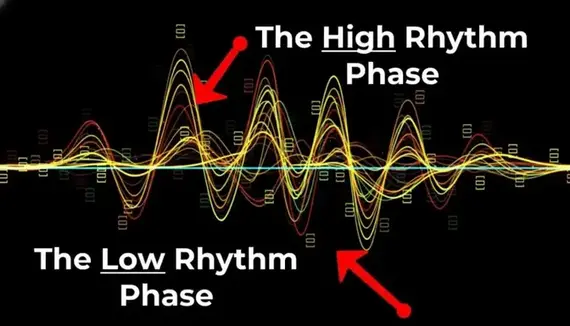 MindSync Wealth Rhythm
